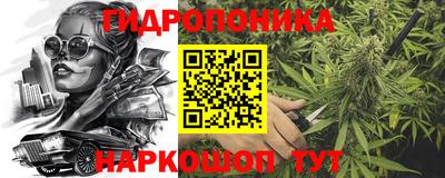 PSILOCYBIN Нальчик