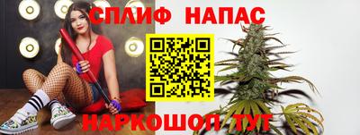 мяу мяу мука Нарткала