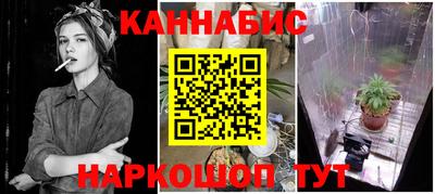 PSILOCYBIN Нальчик