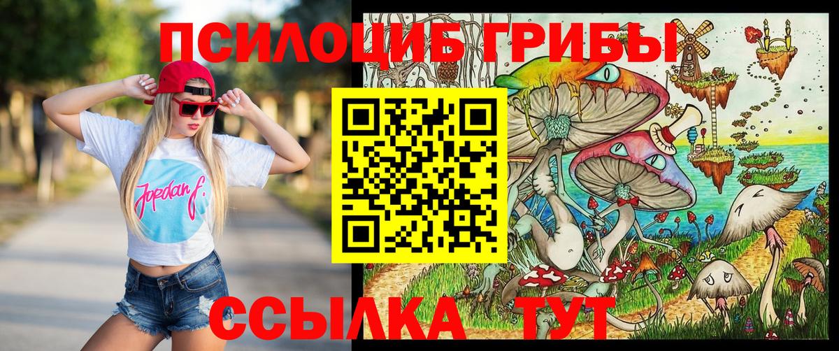 Псилоцибиновые грибы прущие грибы Протвино