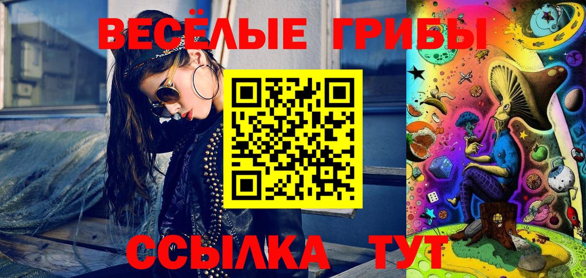 Протвино  Псилоцибиновые грибы ЛСД  купить наркоту  Вход с VPN 